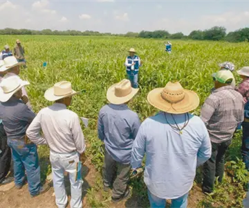 Sector agrícola obtiene acuerdo con Conagua sobre Ley de Aguas Nacionales