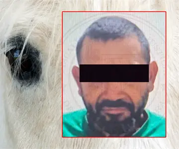 Dan prisión preventiva a sujeto por "navajear" a dos caballos en Átil