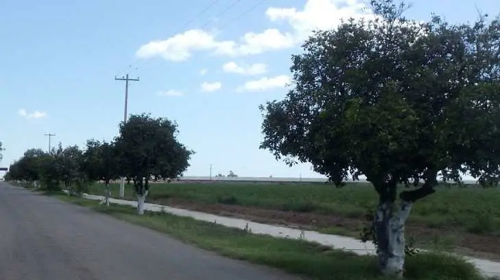 Localizan cadáver con signos de violencia en el Valle del Yaqui