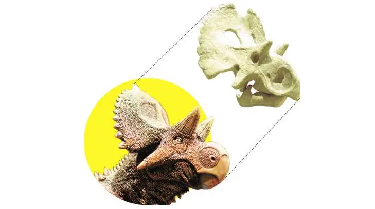 Descubren nuevo dinosaurio en México