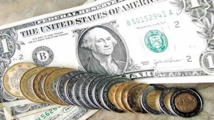 Foto: Especial / EXPRESO.