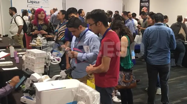 La dermatitis atópica, enfermedad más común en mascotas