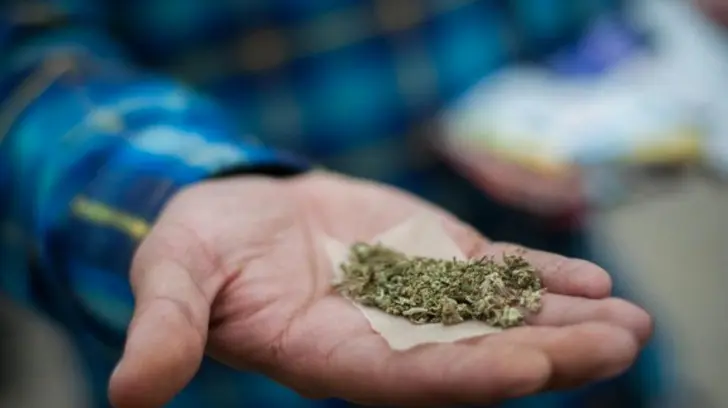 Estas colonias son las que tienen más consumo de marihuana
