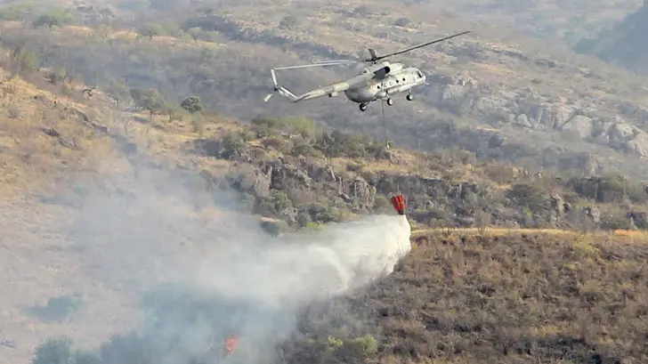 Aumentan a 172 los incendios forestales en Oaxaca