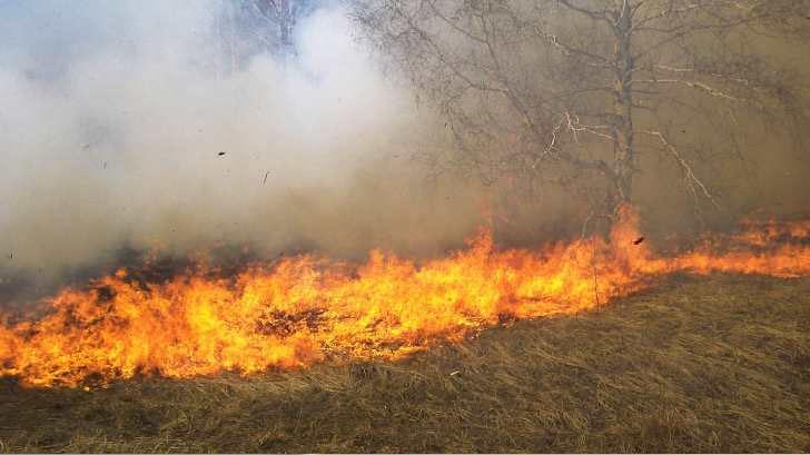 Sonora registra más de 50 incendios forestales durante el año