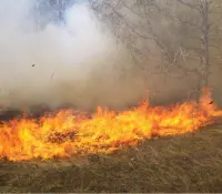 Sonora reduce incidencia de incendios forestales gracias a estrategia
