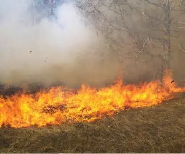 Van 10 incendios forestales en la temporada; se han afectado 700 hectáreas