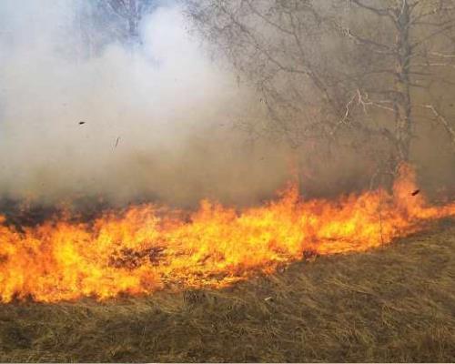 Sonora registra más de 50 incendios forestales durante el año