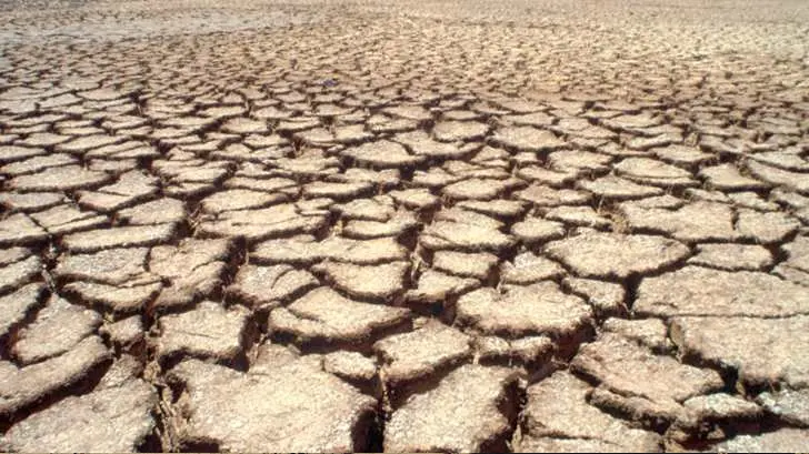 Niños nacidos en 2020 vivirán el doble de fenómenos extremos que en 1960