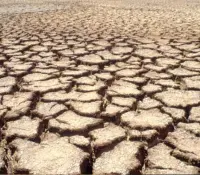 Niños nacidos en 2020 vivirán el doble de fenómenos extremos que en 1960