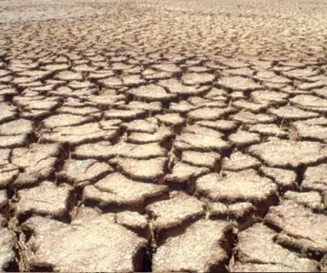 Niños nacidos en 2020 vivirán el doble de fenómenos extremos que en 1960