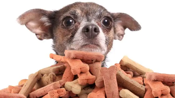 Milagro Canino recibe donativo de croquetas