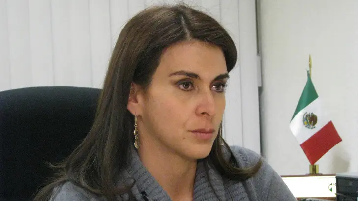 El PRI se prepara para renovarse, afirma diputada Carolina Viggiano