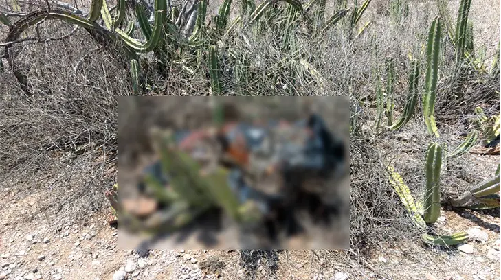 Localizan cuerpo de hombre atado de pies y manos cerca de Guaymas