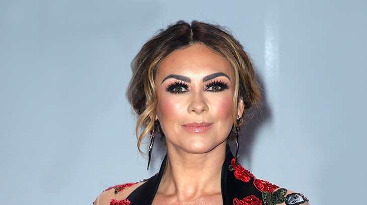 Aracely Arámbula comparte imagen en bikini con sus fans