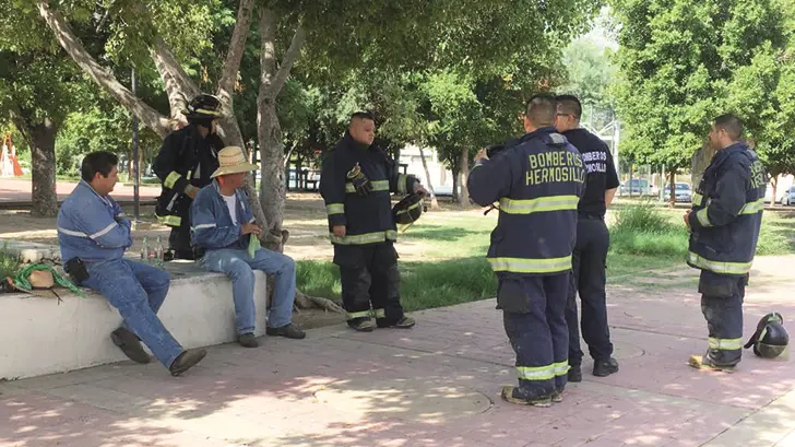 Mujer vive para contarla tras salvaje ataque de abejas en Villa Juárez