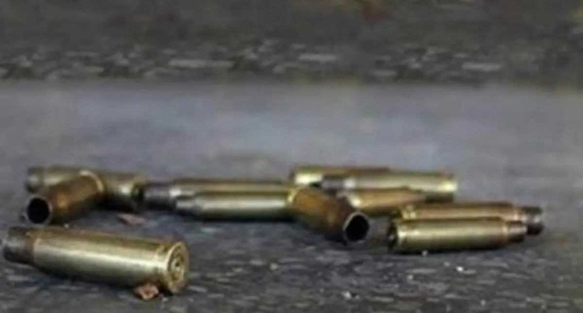 Tiroteo deja 6 muertos en Magdalena, Guanajuato