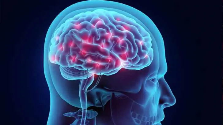 Cerebro del hombre madura más tarde y envejece más rápido que el de la mujer