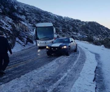 ¿Llegará a Sonora? Cae nevada en la sierra de Chihuahua