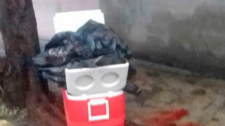 Cuerpo desmembrado fue encontrado en una hielera en Oaxaca