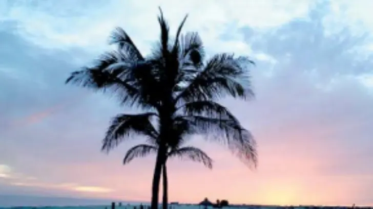 Retirarán policías a quien visite las playas de Huatabampo