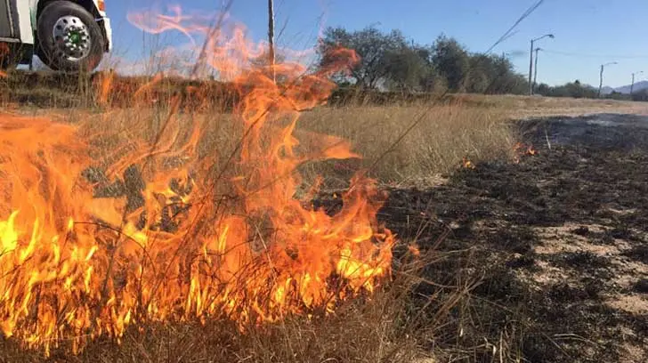 Siete de cada 10 incendios en Hermosillo fueron de maleza
