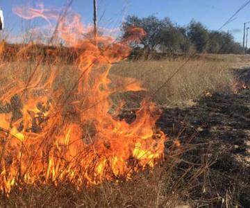 Siete de cada 10 incendios en Hermosillo fueron de maleza