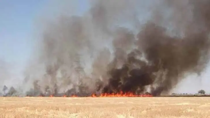 Identifican 5 campos agricolas de quema de neumáticos