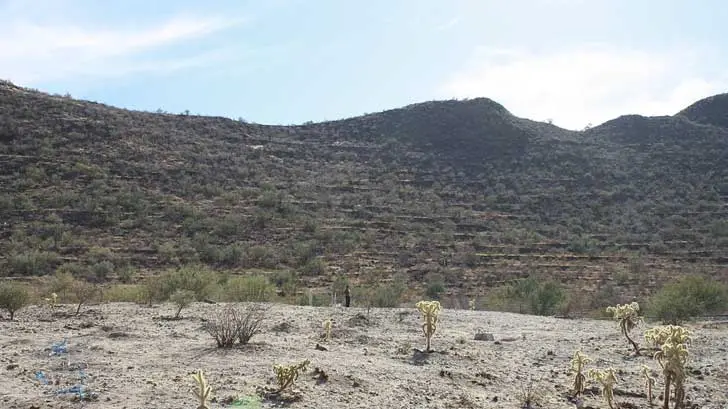Exhortan a Sonorenses cuidar del medio ambiente estas vacaciones