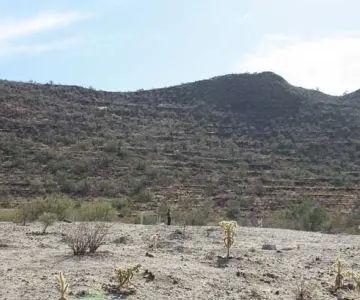 Exhortan a Sonorenses cuidar del medio ambiente estas vacaciones