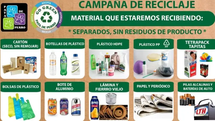 AUDIO | Pata de Perro busca ayudar a perros en situación de calle; realizará campaña de reciclaje