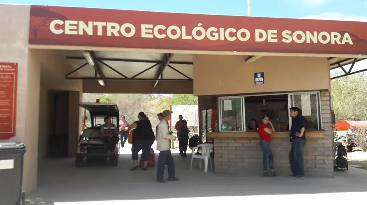 Los cambios en el Centro Ecológico de Sonora tras la pandemia