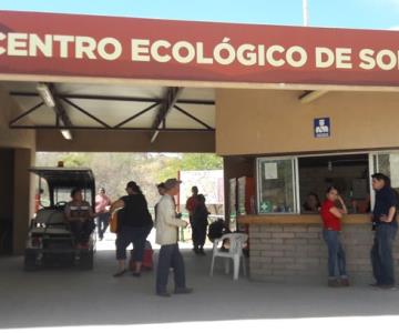 Centro Ecológico de Sonora busca intercambio de especies con zoológicos