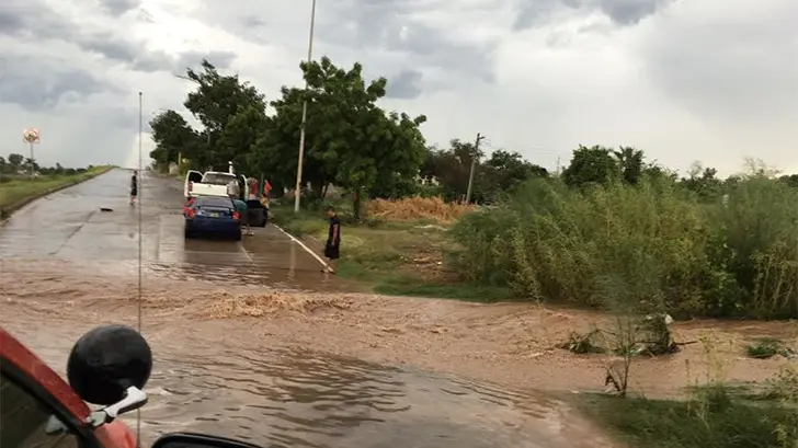 Ganaderos de Navojoa esperan con ansias las lluvias