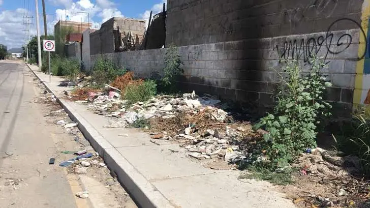 Nueva Policía verde en Hermosillo; en combate a las problemáticas ambientales