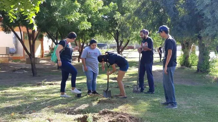 AUDIO | Alumnos del ITH realizan jornada de reforestación