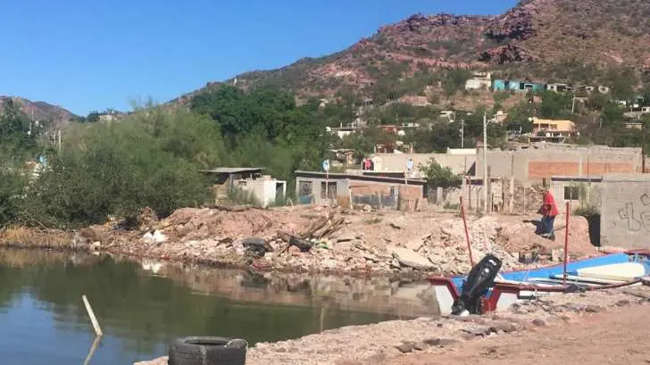 AUDIO | Los mosquitos ‘invaden’ el sector Rastro Playa de Guaymas