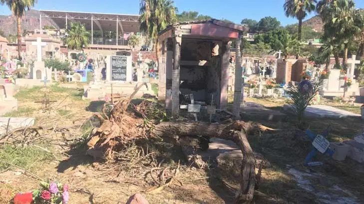Saqueadores, principal problema del Panteón San Fernando de Guaymas