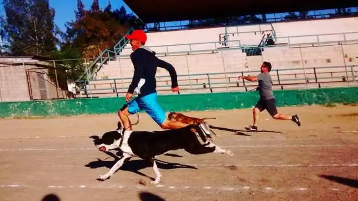 Pata de Perro llama a participar en la campaña de reciclaje ‘Go Green’