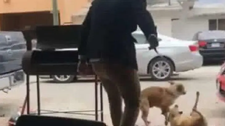 Muestran denuncia contra hombre que apuñaló a perro en Coahuila