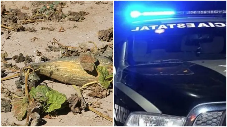 Heladas congelan el Valle del Yaqui y un hombre muere por sobredosis en Nogales: Expreso 24/7