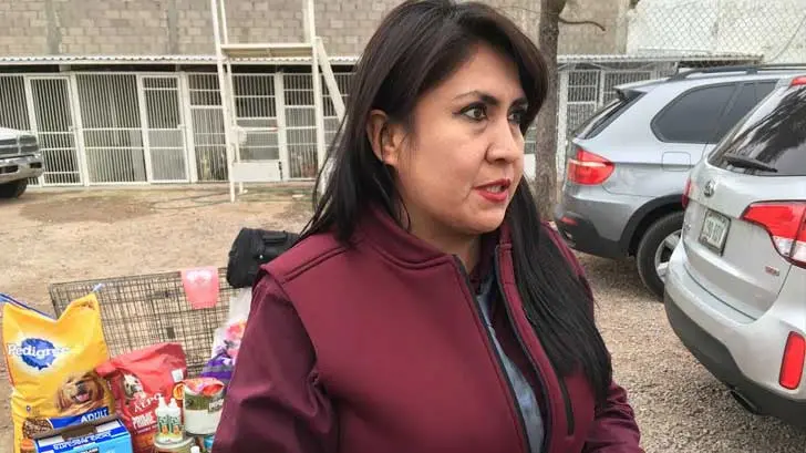 AUDIO | Autoridades de Nogales impulsan programa de adopción de mascotas