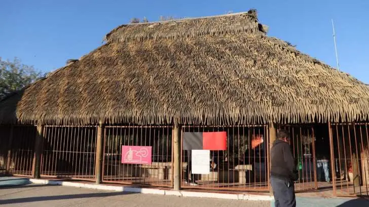 El Centro Ecológico celebra el cuarto Festival de Insectos y Arácnidos