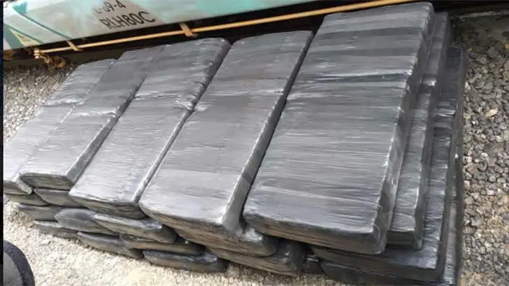 Hallan más de 700 kilogramos de mariguana entre autos de Ford