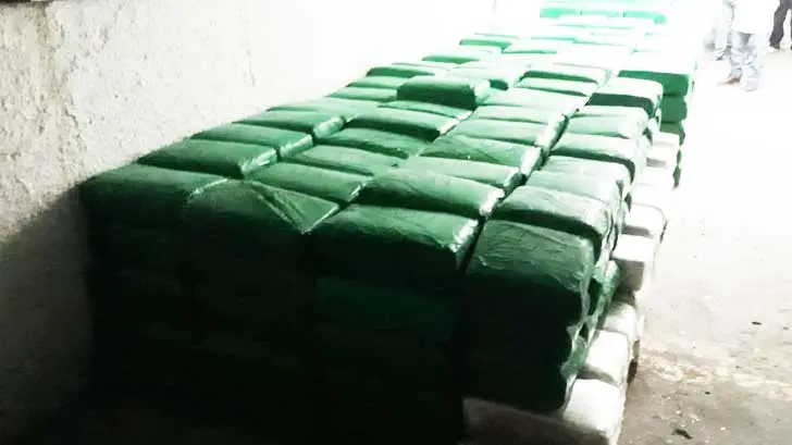 AUDIO | Tres toneladas de mariguana fueron encontradas en vivienda de Nogales
