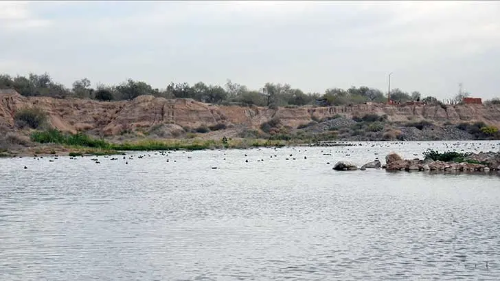 Invertirán 23 mdp más al proyecto del Ecoparque Sonora