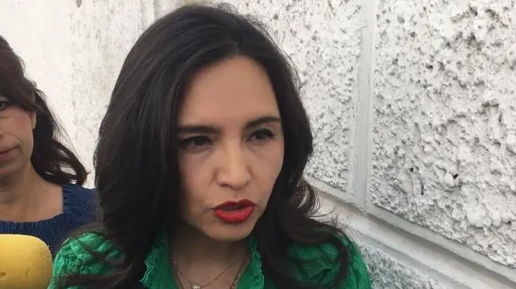 Hay tiempo para la firma del convenio al subsidio a la tarifa eléctrica: Natalia Rivera
