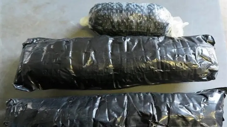 Dos mujeres intentaron cruzar drogas a EU por las garitas de Nogales