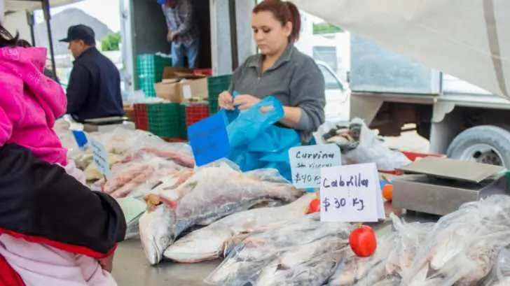 AUDIO | Arranca la ‘Feria del Marisco’ en el tianguis de Guaymas Norte