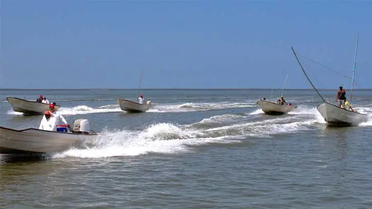 ¿Pesca de plástico? Este es el primer torneo para minimizar la contaminación en el mar